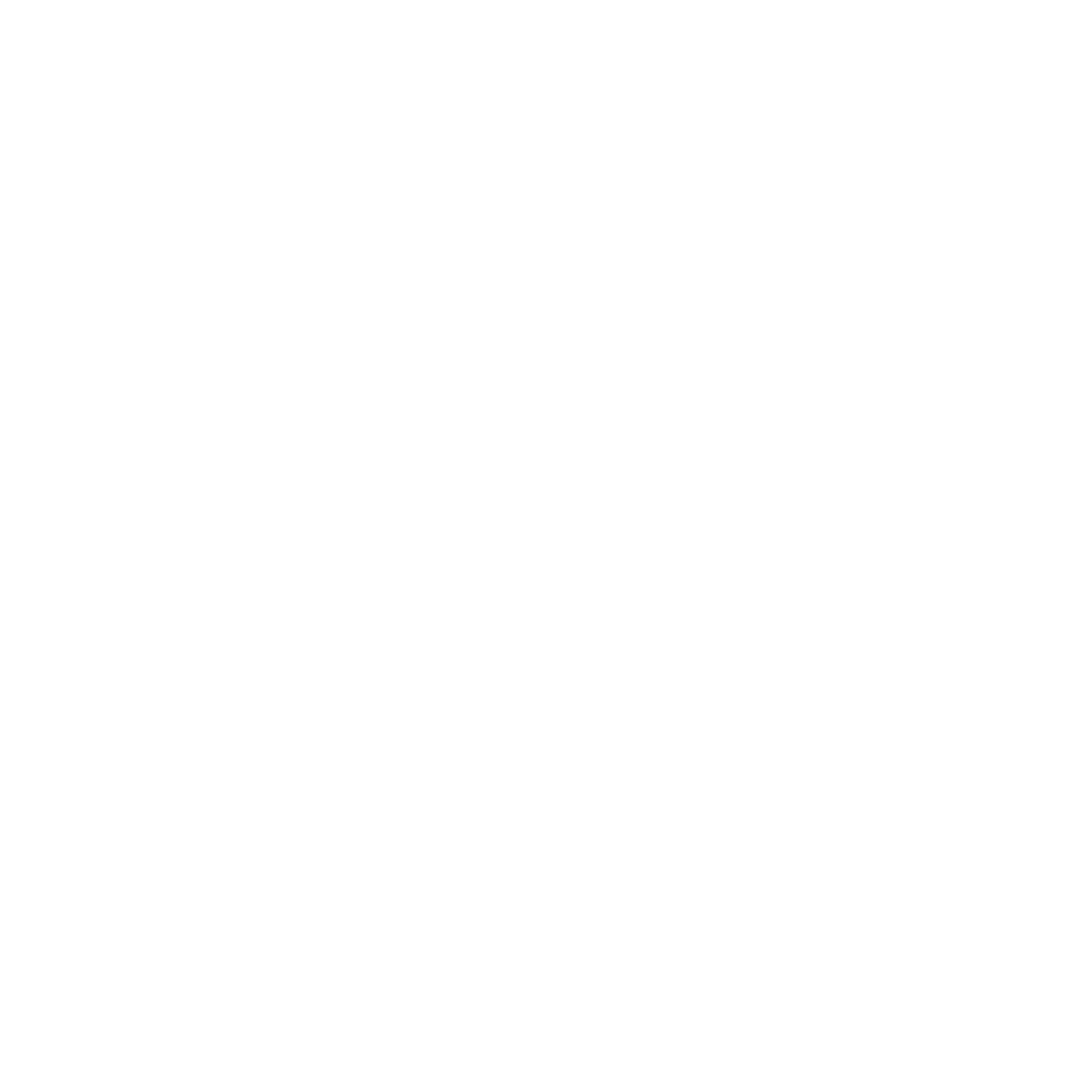 Logo Climate Partner