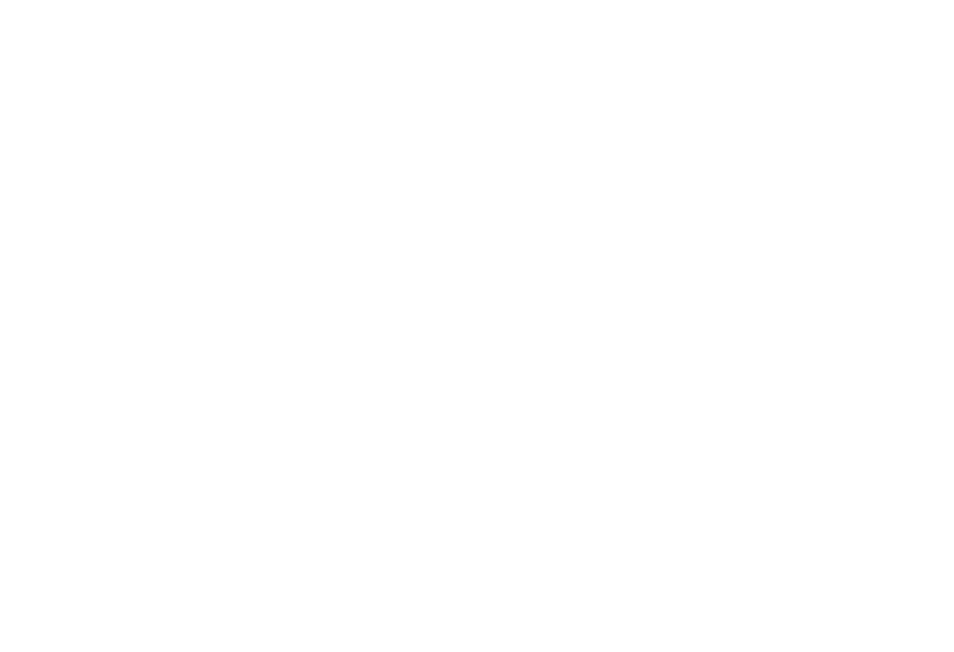 Logo SZFF